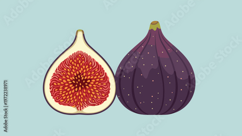 Ripe purple fig fruit shown as a whole piece and a cross section revealing the detailed red interior structure against a plain background.