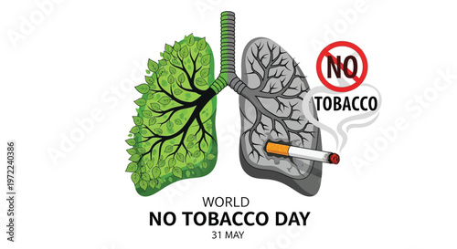 Healthy lung versus damaged lung with cigarette advocating no tobacco use