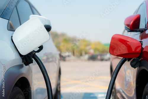 Electric car or ev is charging at station . man use the white power cable and plug on nature background. eco and clean energy concept with the mobile phone smart technology. zero gas no transmission