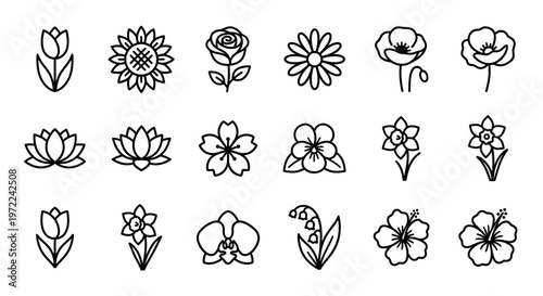 Flower icons collection featuring various botanical illustrations of popular spring and summer blossoms in a simple outline style.