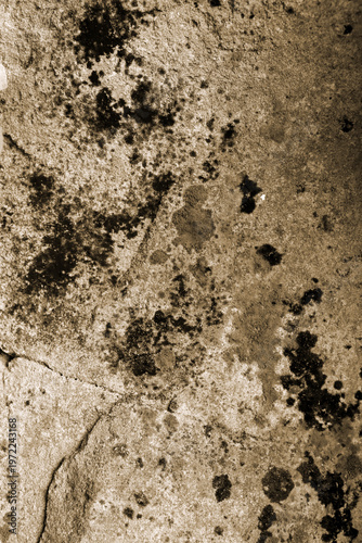 Fotografie abstract brown rock soil texter background, backdrop wallpaper