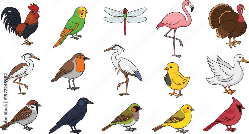 Fototapeta premium Birds vector collection with rooster, parrot, flamingo, turkey, duck and songbirds, colorful cartoon animal set isolated on white background
