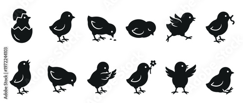 Chicks silhouette icon set showing various poses and activities like hatching, pecking, walking, and sleeping, perfect for spring and Easter designs.
