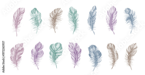Colorful feathers set, Hand-Drawn	
