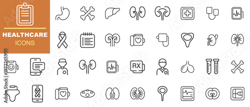 Medical Healthcare Icons Set with Organs and Symbols Clean Line Art Isolated on White Background