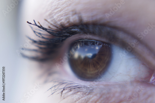 close up of a brown female eye