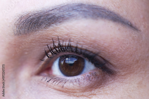 close up of a brown female eye
