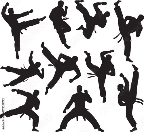 Dynamic silhouettes of martial arts practitioners in various stances and movements