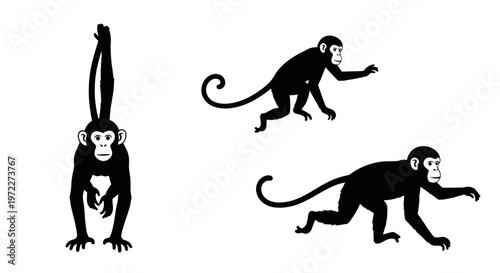 Three playful chimpanzee silhouettes in dynamic poses, isolated on white background