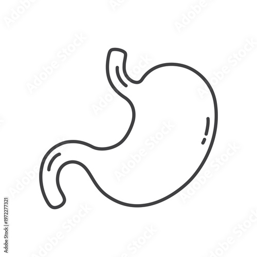 Outline stomach icon isolated flat style design.