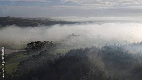 Aerial mist over farmland forest and inlet at sunrise New Zealand
