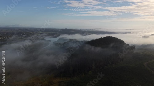 Aerial view of pine forest logging and regrowth with morning mist Northland New Zealand
