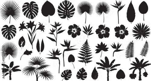 Comprehensive collection of tropical plant silhouettes featuring diverse exotic leaves, majestic palm trees, and elegant floral elements, perfect for design projects and botanical themes