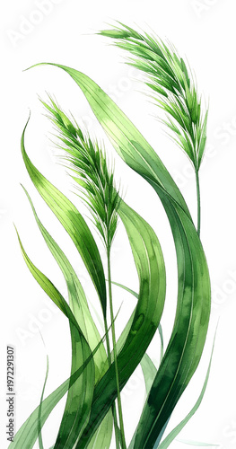 Zielona trawa dekoracja