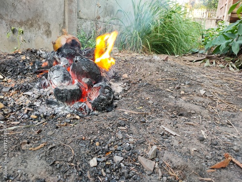 campfire in the forest