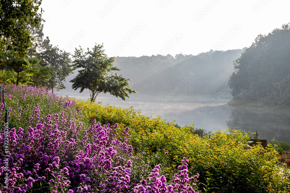 Obraz premium Flower-covered hillside by misty lake