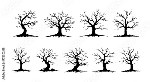 Dead tree silhouettes set, spooky leafless winter branches vector collection, black gnarled bare trees isolated on white background