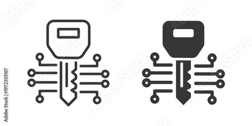 Digital Security Key thin line and solid icon. Multi series icon. Web minimal icon