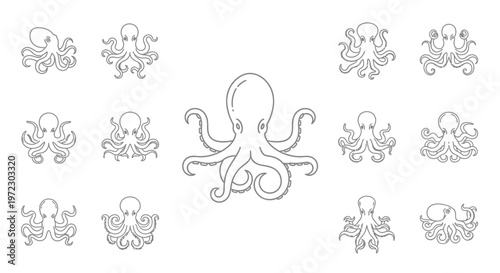 Octopus tentacles cephalopod marine animal.