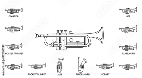 Detailed illustration of a trumpet.