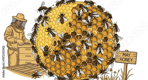 Beekeeper in protective suit inspecting hive with honeycomb and busy bees may honey sign