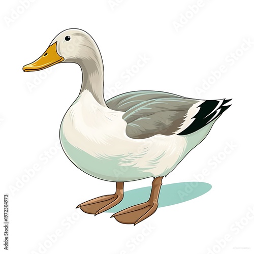 Top View Duck Vector Illustration Isolated
