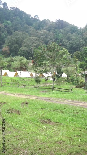 Wallpaper Mural Modern camping site with comfortable tents surrounded by forest and meadow, ideal for nature tourism. Torontodigital.ca