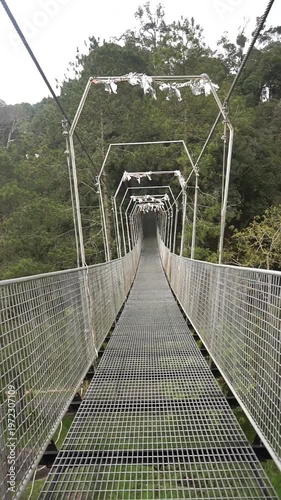 Wallpaper Mural Suspension bridge with a long metal structure in the middle of a lush natural forest. Torontodigital.ca