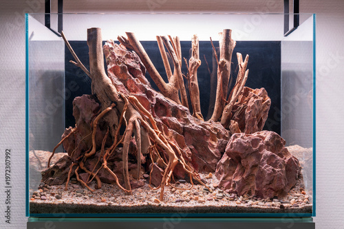 Canyon Roots Aquascape, aquascaping hardscape design