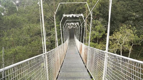 Wallpaper Mural Suspension bridge with a long metal structure in the middle of a lush natural forest. Torontodigital.ca