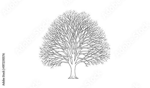 Premium Isometric Book Icon Collection with 12 Flat Symbols for Education Apps, Digital Libraries, Academic Platforms and Publishing Design