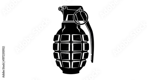 Explosive Grenade Icon Black Silhouette Isolated on White Background