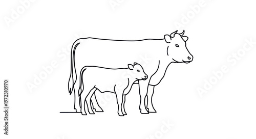 Mother Cow and Calf Line Drawing - Simple Farm Animal Illustration