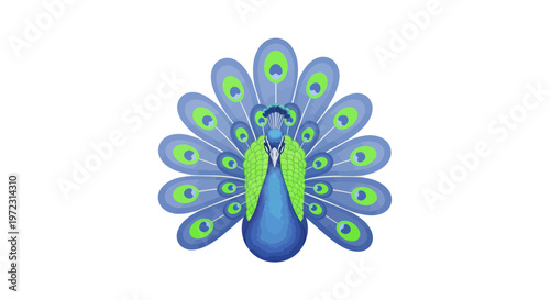Stylized Peacock Displaying Colorful Feathers