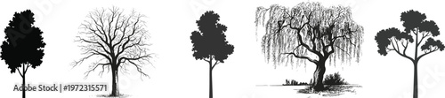 Collection of tree silhouettes, leafless winter tree, willow and forest shapes, detailed nature illustration elements – vector illustration