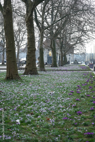 Blick in die Hauptstrasse in Dresden Neustadt