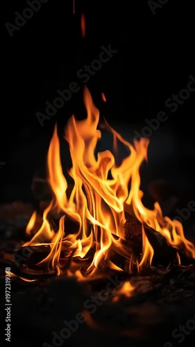 Flickering Campfire Flames in the Dark.