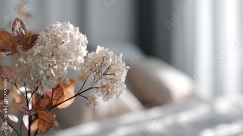 Soft Hydrangea Blossom Near Bedside for Serene Decor and Still Life Scenery