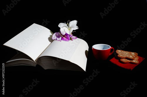 Charming still life with an open book, fresh flowers, a red coffee cup, and heart-shaped cookies on a solid black background. The natural light has a soft, glowing, and cozy feel