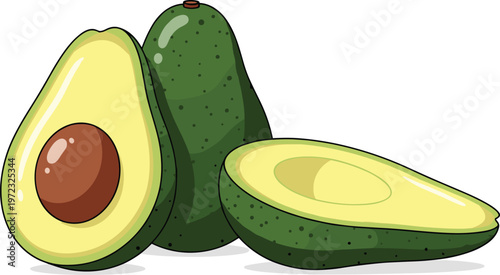 Vibrant vector illustration of fresh, ripe avocados, including a whole fruit and two halves with and without the pit, showcasing healthy eating.