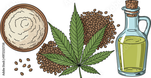 Natural hemp products: fresh cannabis leaf, raw hemp seeds, organic hemp oil, and creamy hemp butter, isolated on white background.