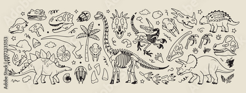 dinosaur skeletons skulls pattern, prehistoric fossil bone illustration, hand drawn archaeological graphics, creative museum display elements, decorative ancient reptile remains, sketchy paleontology 