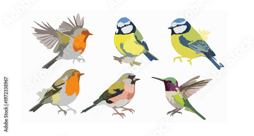 Watercolor bird vector set with sparrow robin parrot hummingbird and dove in soft painted style isolated on white