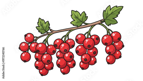 Vector CAD design of a vibrant red currant branch