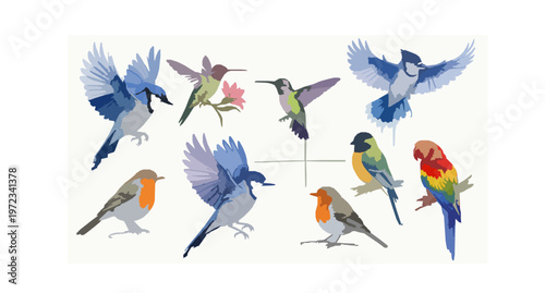 Watercolor bird vector set with sparrow robin parrot hummingbird and dove in soft painted style isolated on white