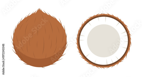 Coconut halves and whole coconut illustration.