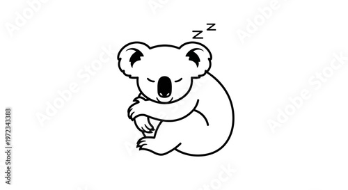 Sleeping koala bear curled up peacefully dreaming of eucalyptus leaves.