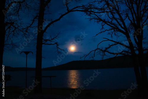 Full moon, April 2026 Pink Moon reflected in the lake water, framed by early spring oak tree branches.