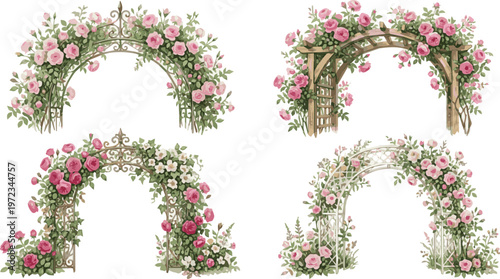 Generate a realistic kinds of deferent Garden arch with delicate roses, isolated watercolor for invitation or greeting cards, garden design with blossom plant. vector art with white background.