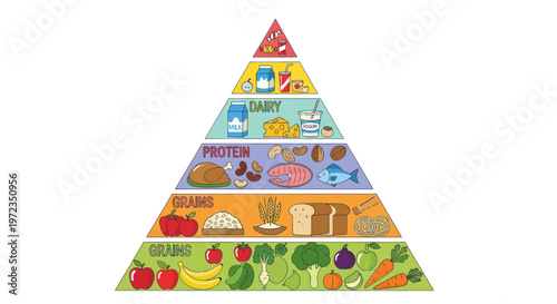 Healthy Food Pyramid Chart: Fruits, Vegetables, Grains, Protein, Dairy, and Fats